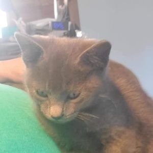 Meet your Posher, Tina